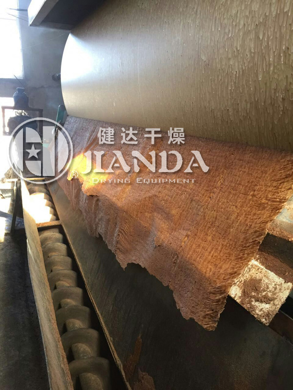 雙滾筒刮板干燥機 雙滾筒刮板干燥機